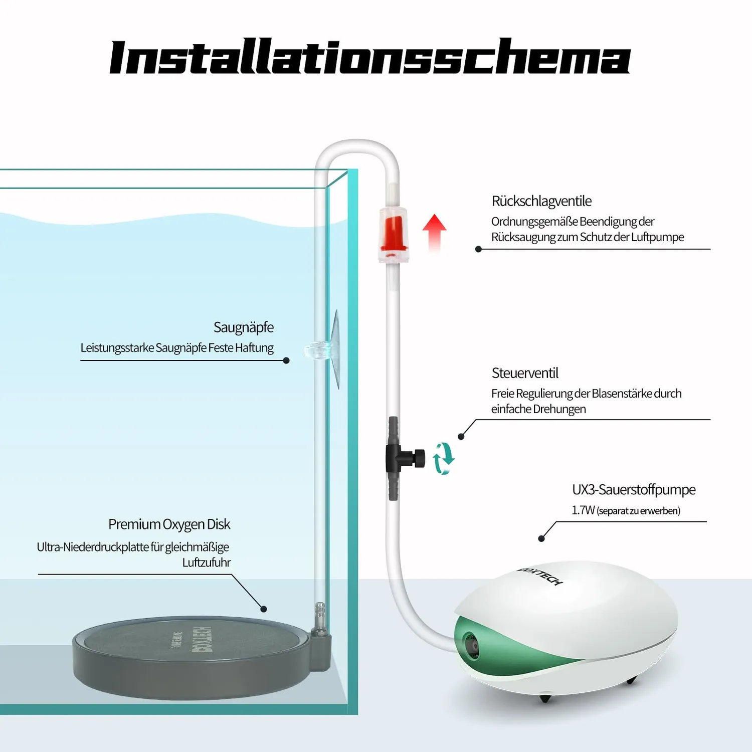 Boxtech pietra porosa acquario 80 mm kit tubo