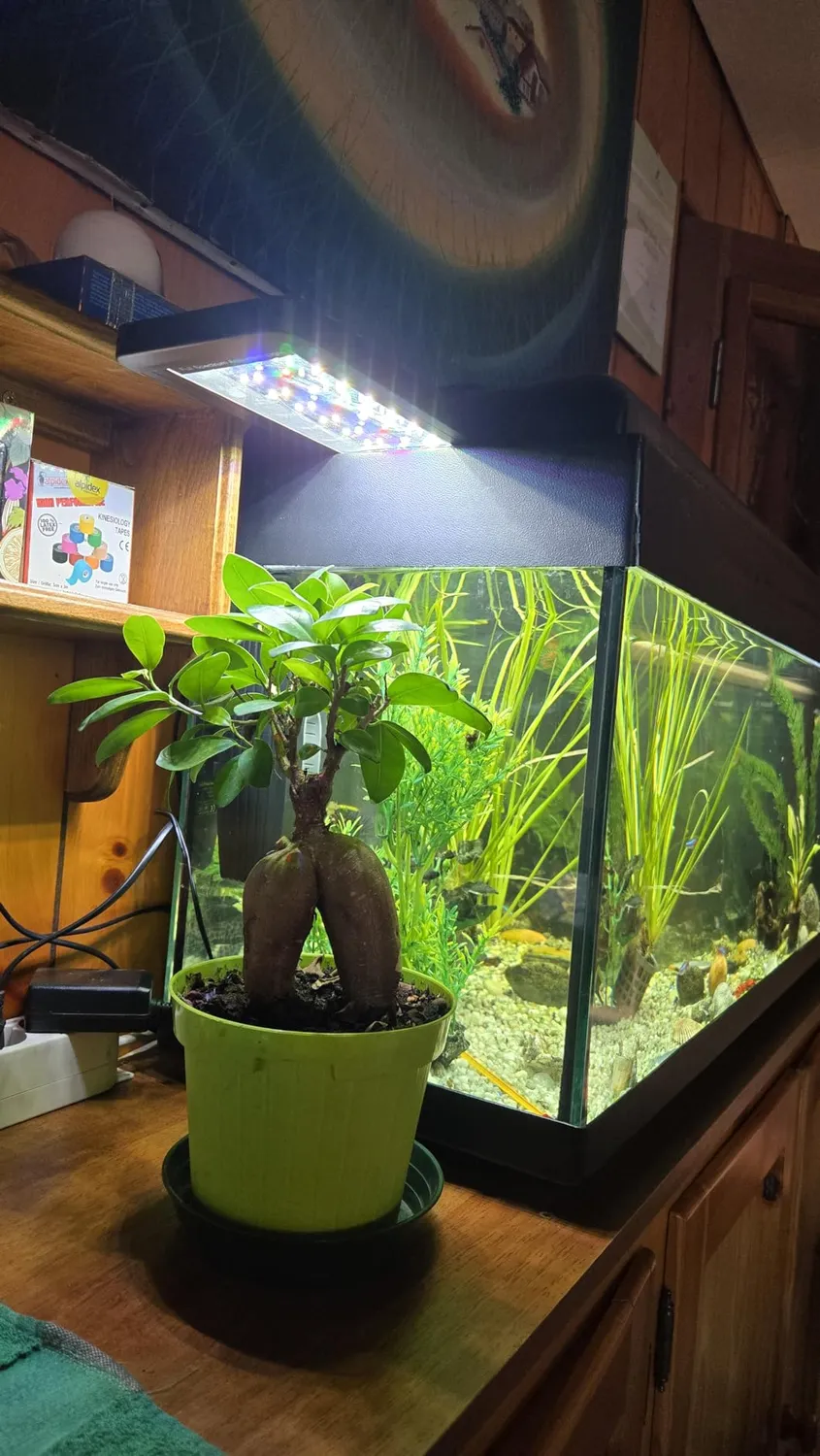 Pawfly Luce LED Acquario 45-60 cm 6 Tasti 24/7