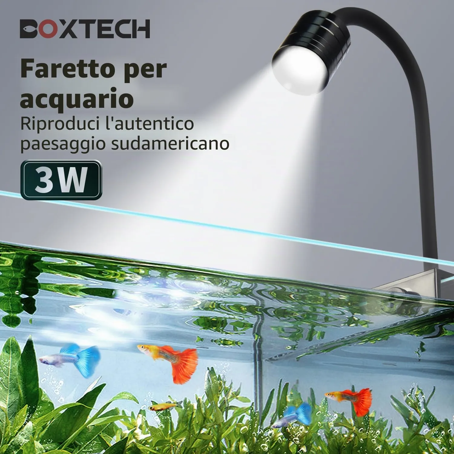 boxtech LED 3W faretto acquario COB 3 luci nano vasche
