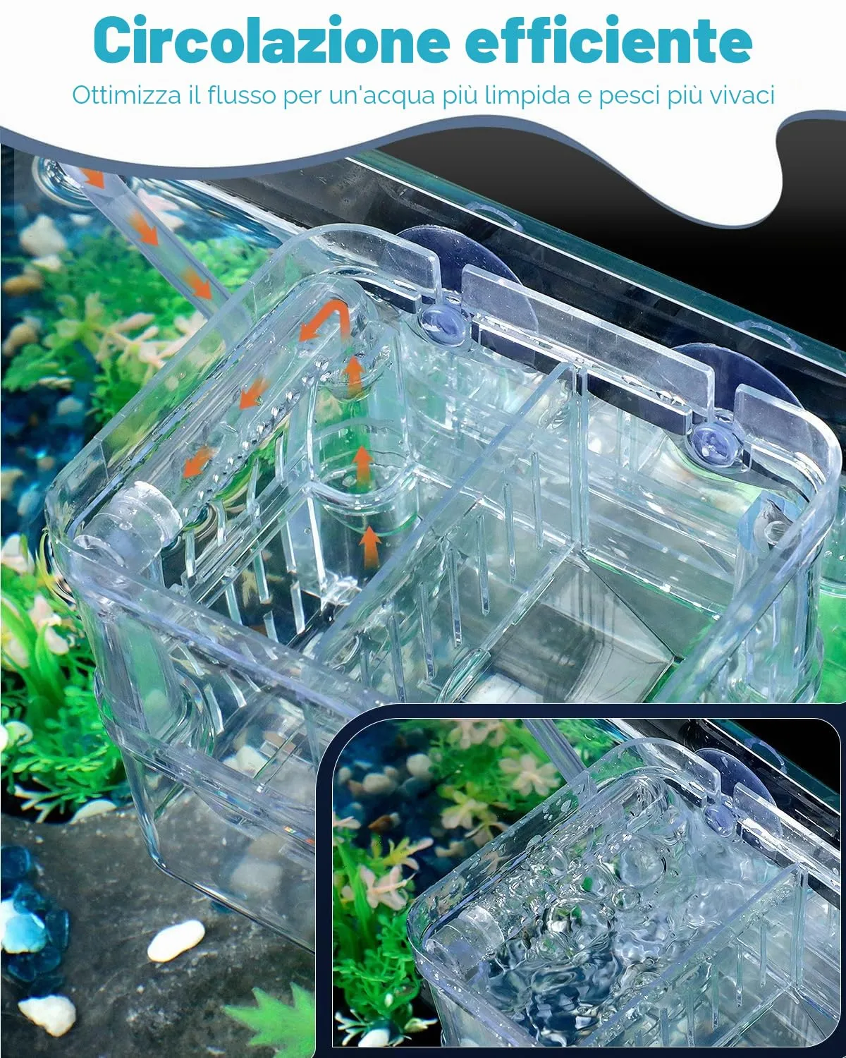 Pawfly Box Allevamento Acquario S 10x8x13 cm Trasparente
