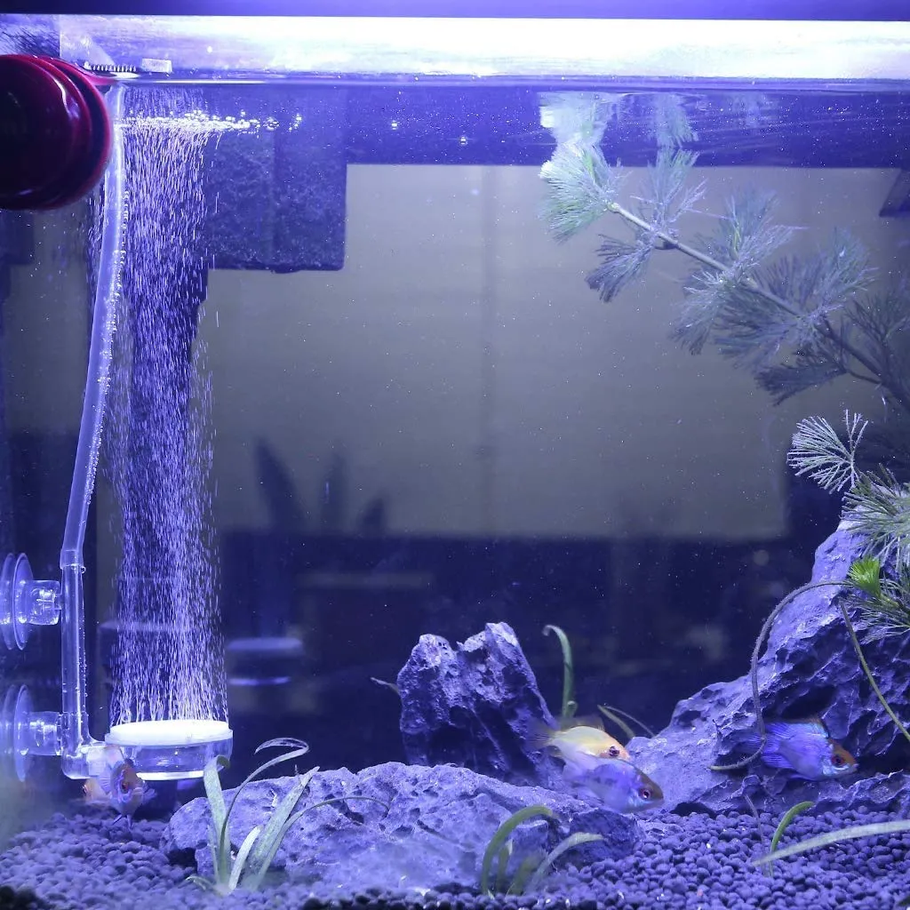 boxtech diffusore aria acquario 35 mm kit silenzioso