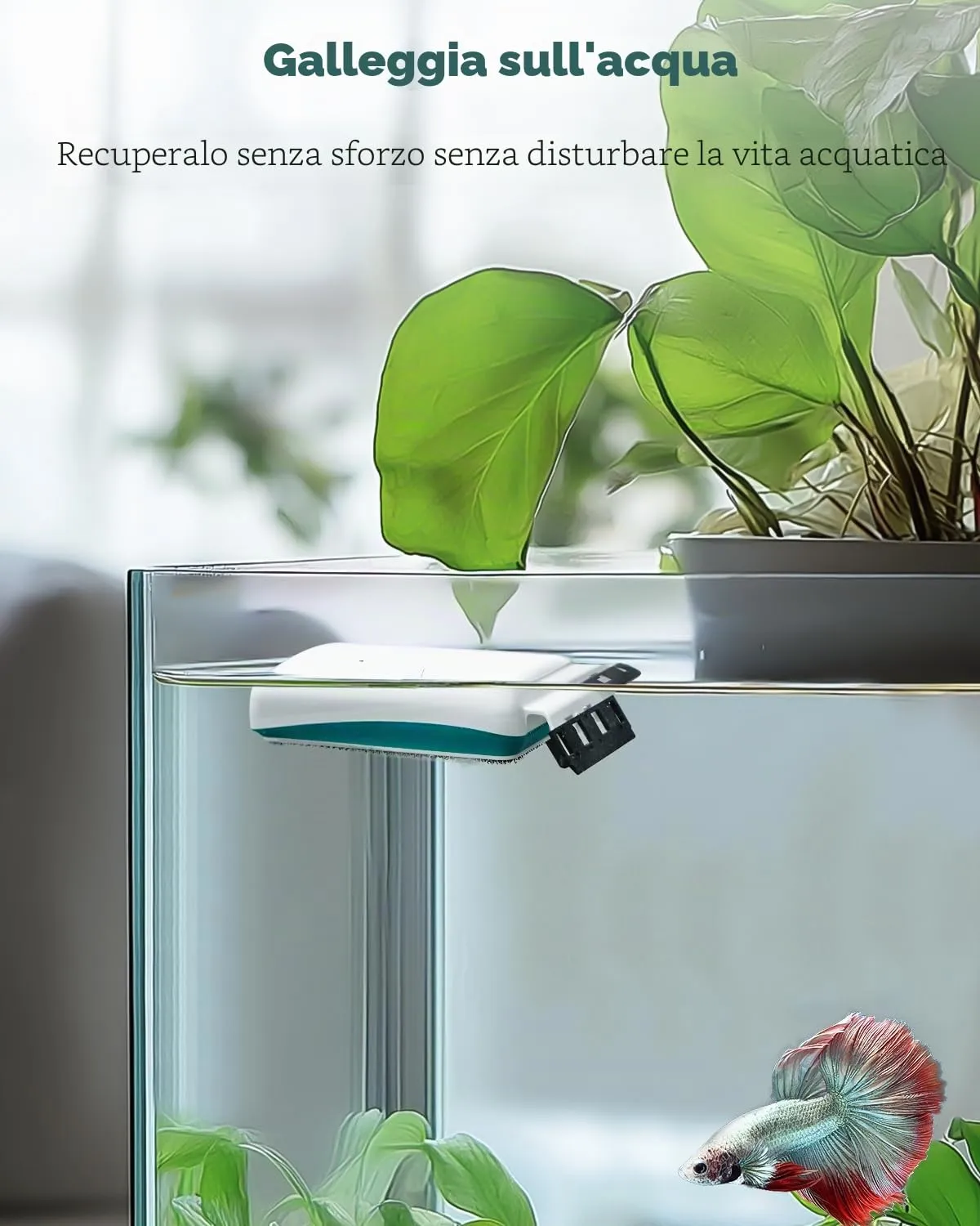Pawfly pulitore magnetico acquario vetro fino 0,65 cm