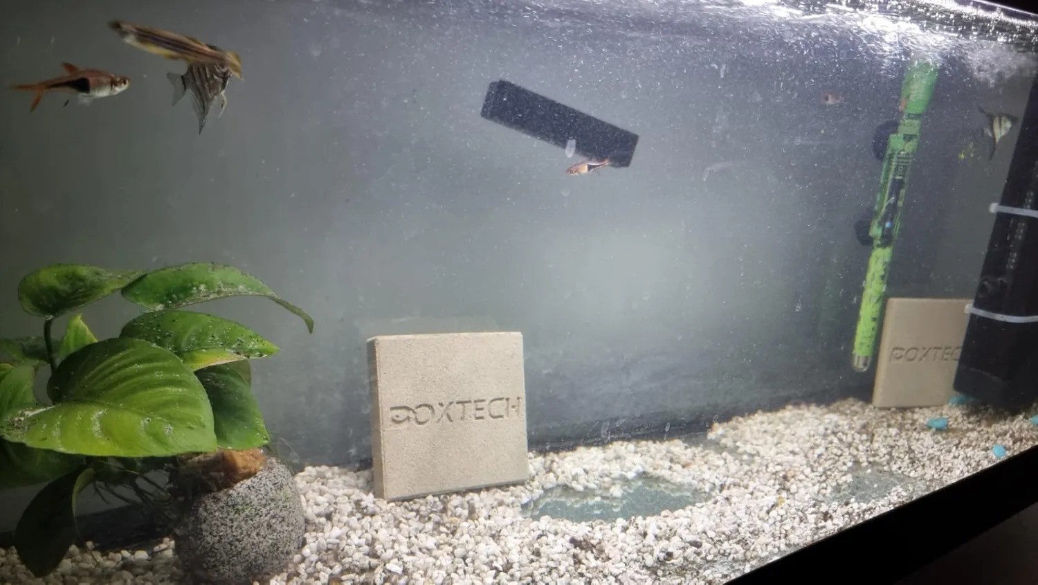 Boxtech media filtrante ceramico 2 pz filtrazione biologica