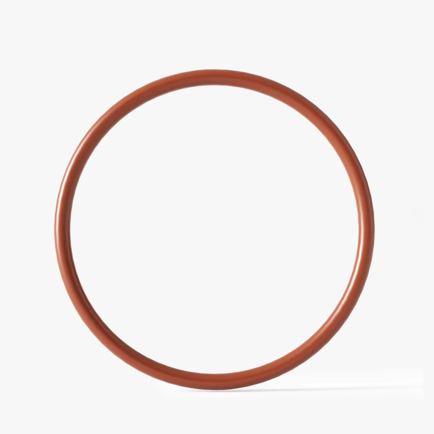 SunSun CUV-172 O-Ring 1 guarnizione ricambio chiarificatore