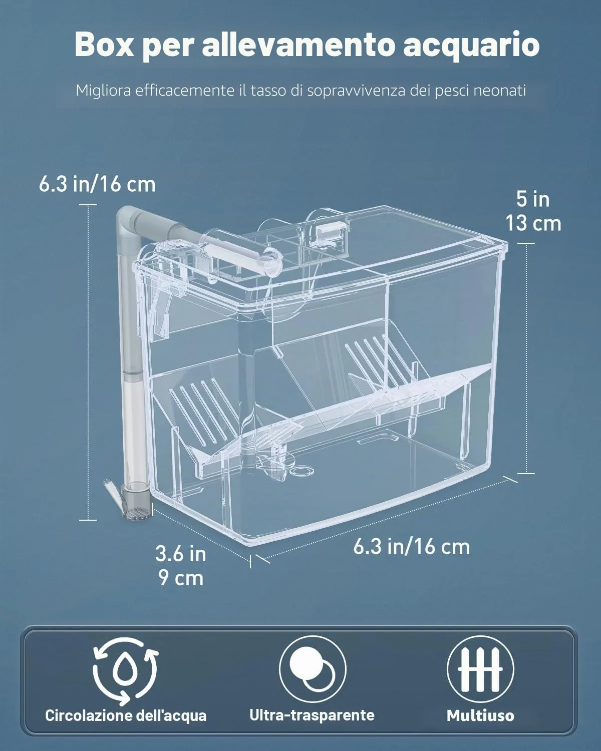 Pawfly incubatrice pesci acrilico 16 cm 3 scomparti