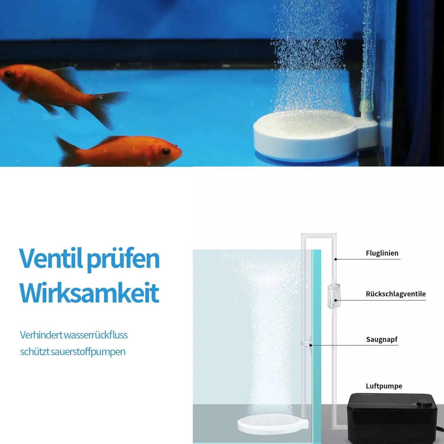 Boxtech Diffusore Nano Aria Acquario 50 mm Ceramica