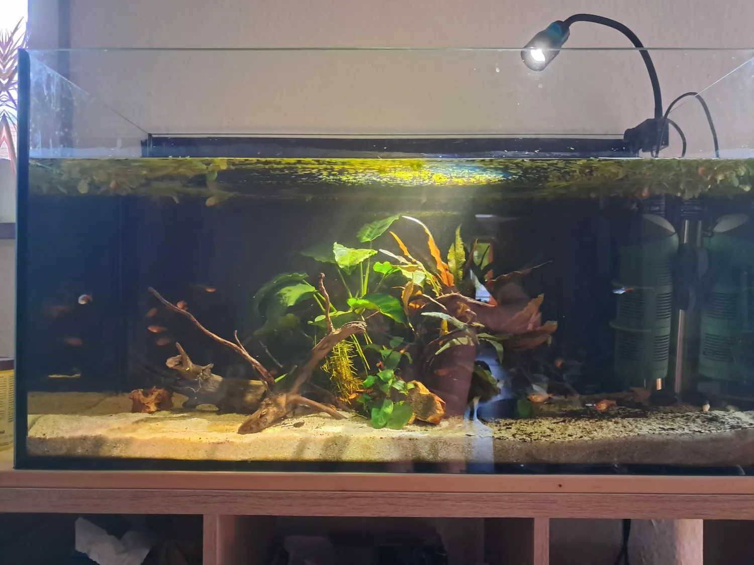 Boxtech lampada LED acquario zoom 10W 3 colori fascio