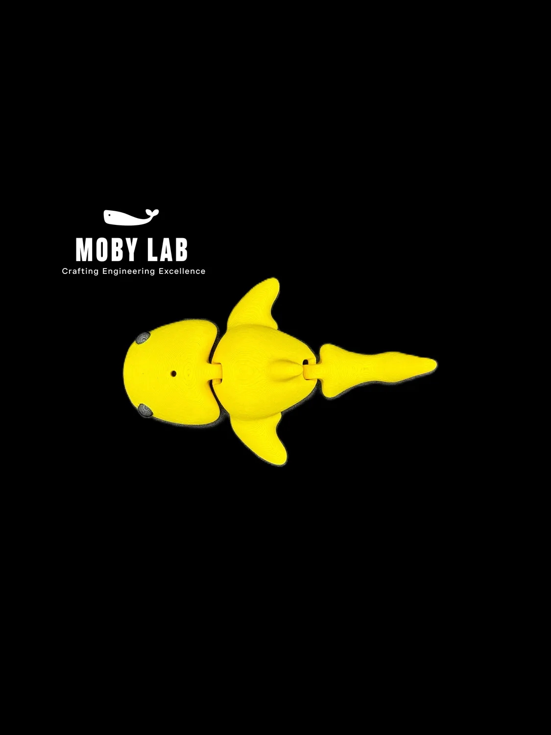Moby Lab Fish porta cibo pesci e gamberetti PETG