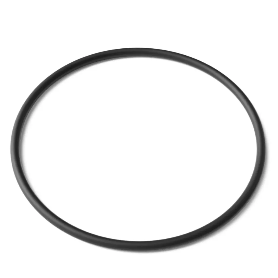 SunSun CUV-224 Anello O-Ring 1 ricambio chiarificatore laghetto