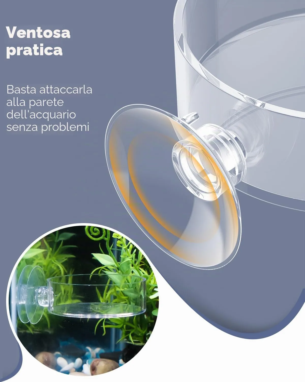 Pawfly mangiatoia gamberetti acquario acrilico 6 cm