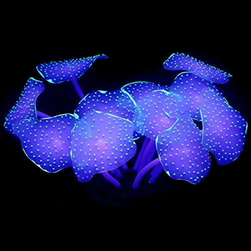 Pawfly corallo decorazione acquario verde silicone 10x6 cm