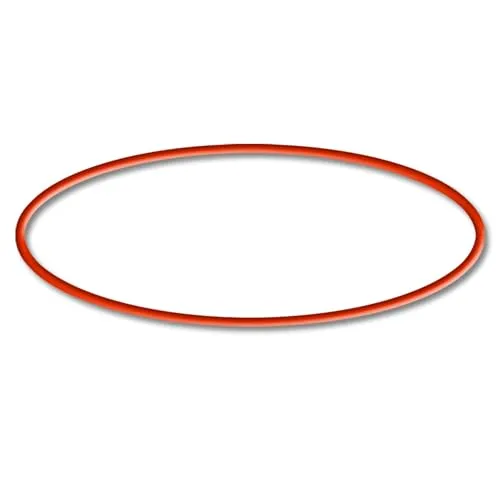 SunSun HW-702B 703B 704B o-ring filtro esterno quarzo