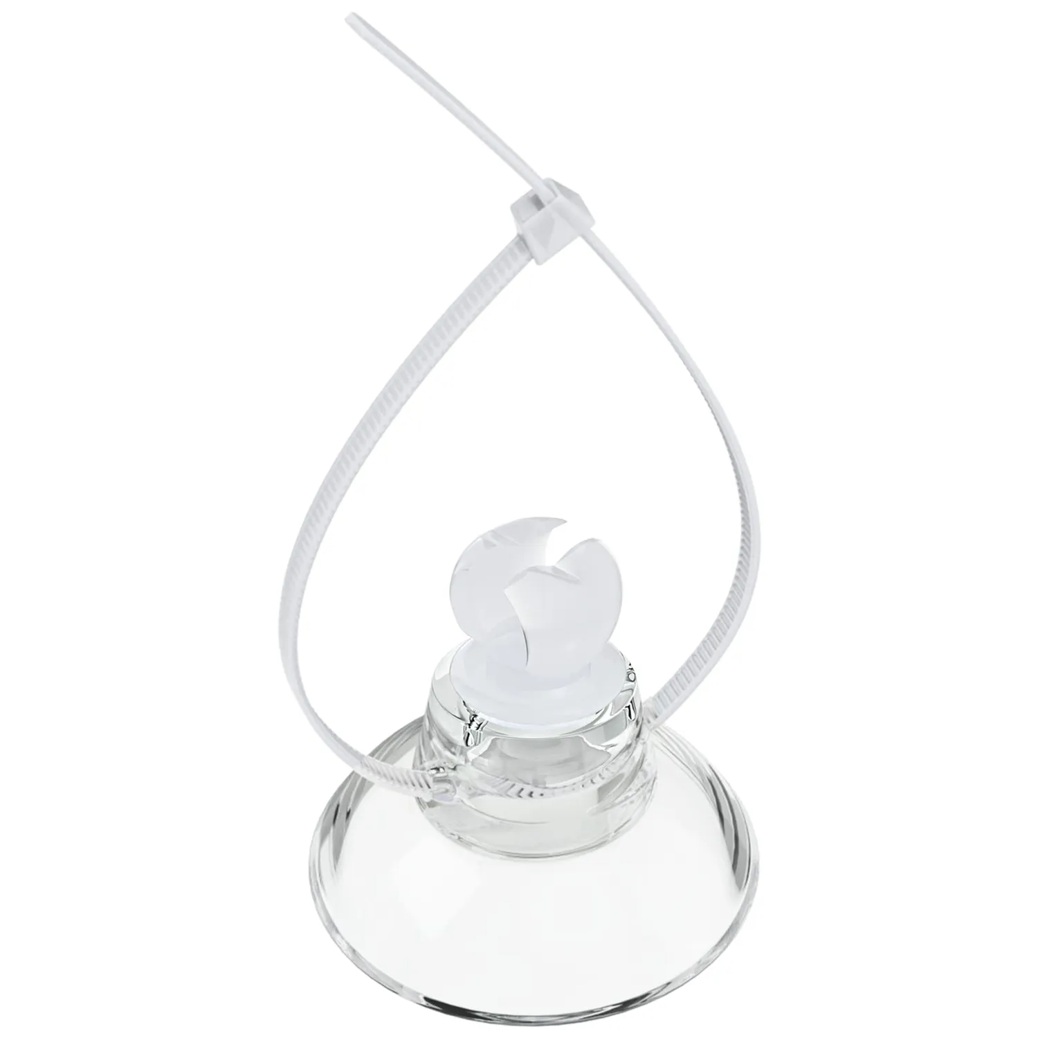 Pawfly ventose acquario trasparenti 10 pz con 20 fascette