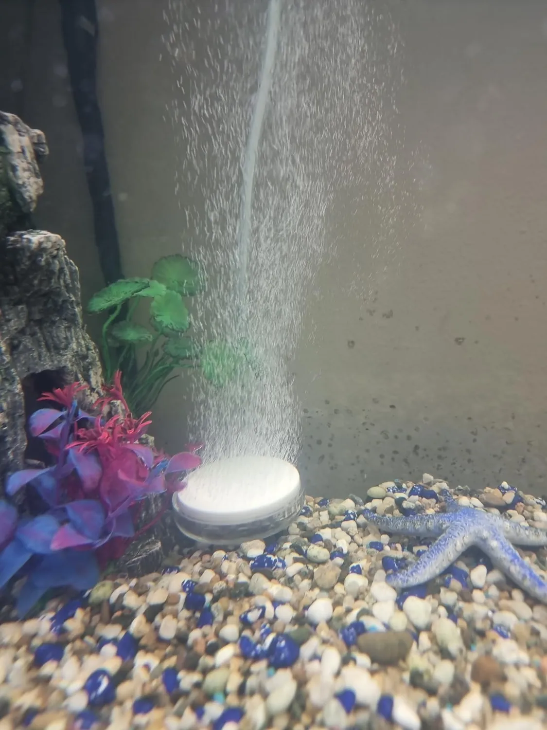 boxtech diffusore aria acquario 35 mm kit silenzioso