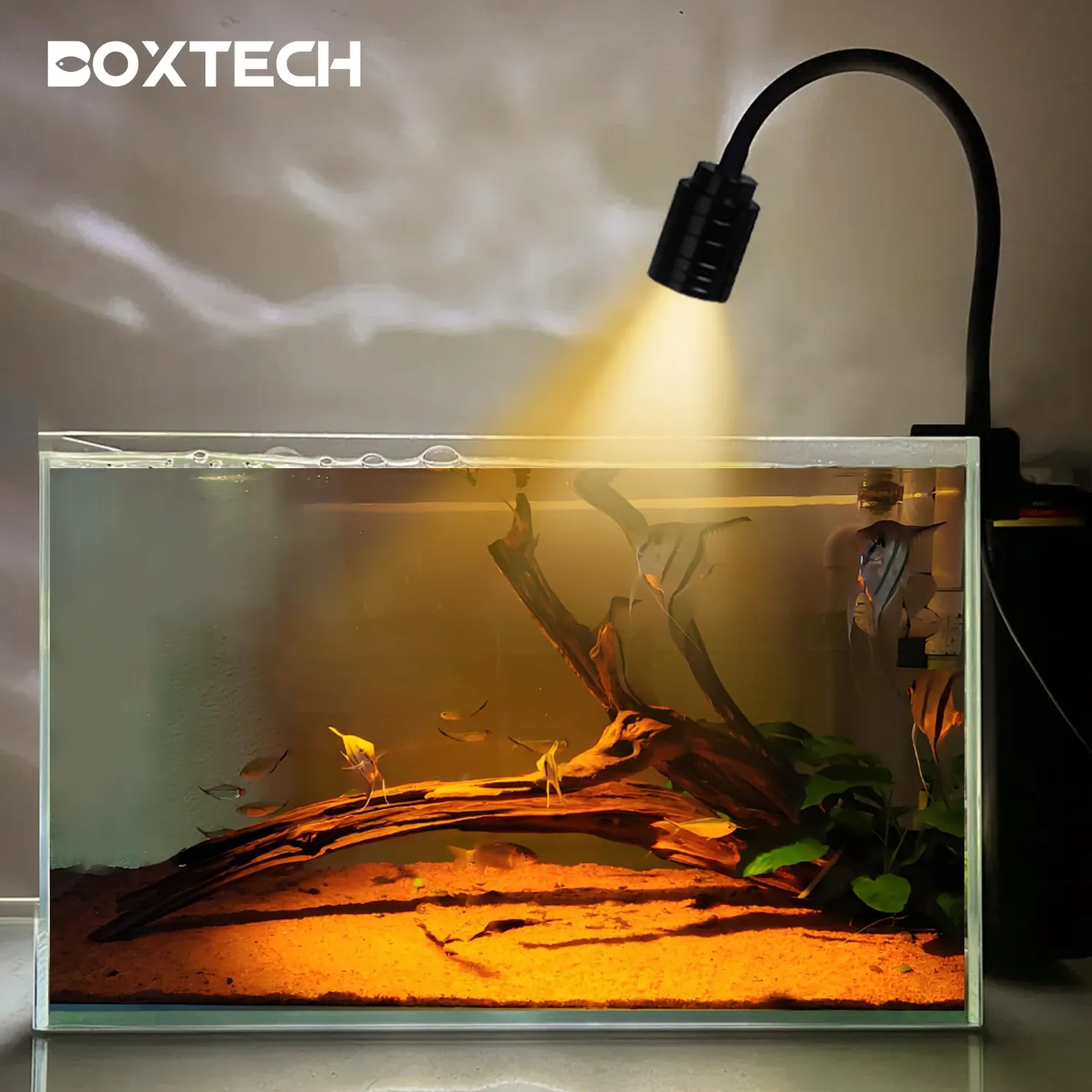 boxtech LED 3W faretto acquario COB 3 luci nano vasche