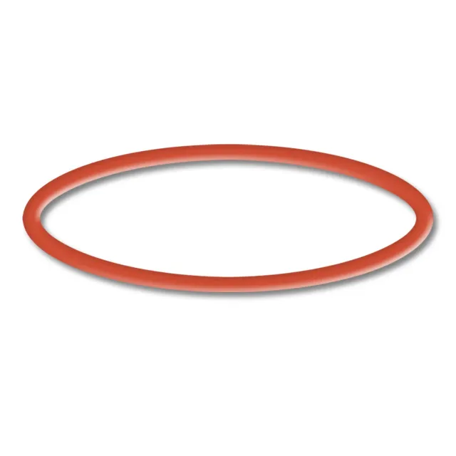 SunSun CPP-5000F O-ring 4 ricambio pompa piscina