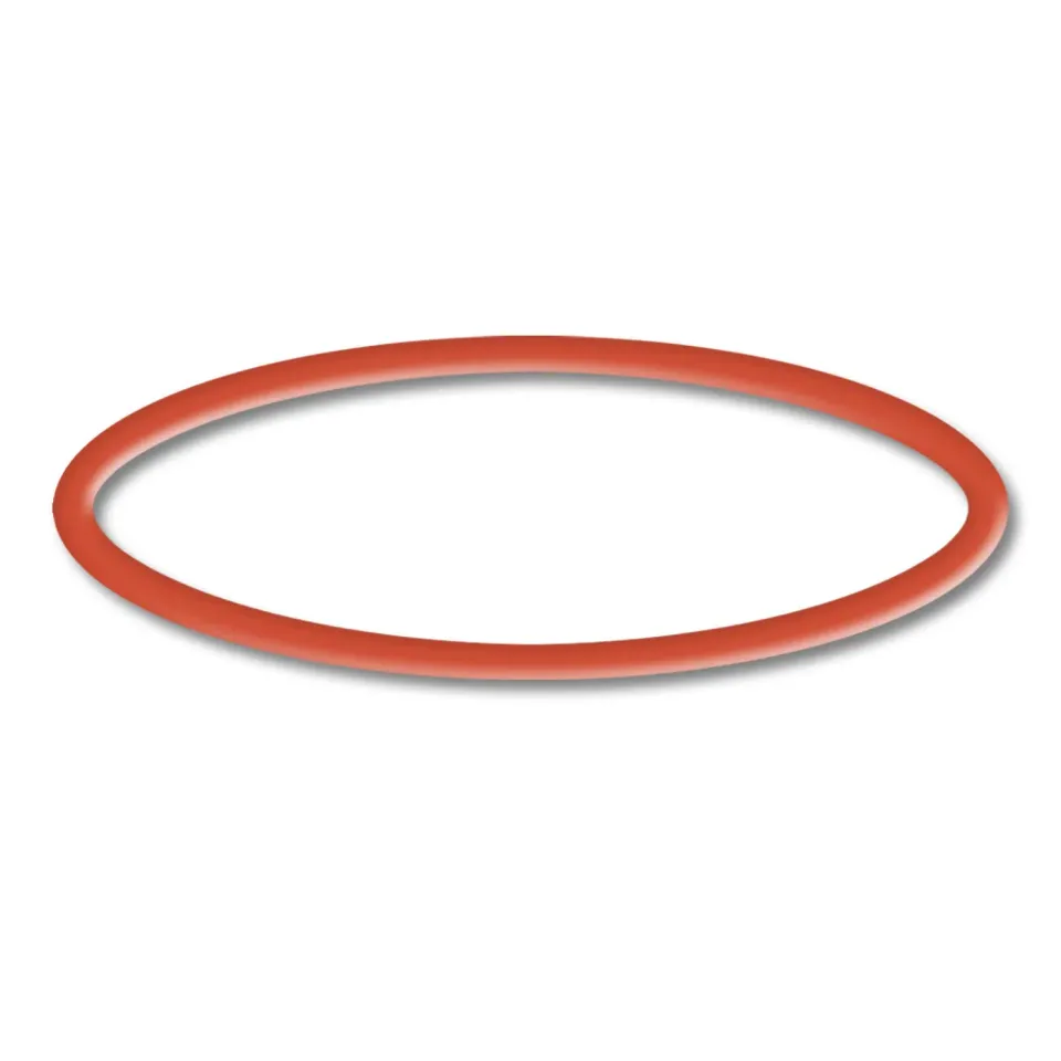 SunSun CPP-5000F O-ring 4 ricambio pompa piscina