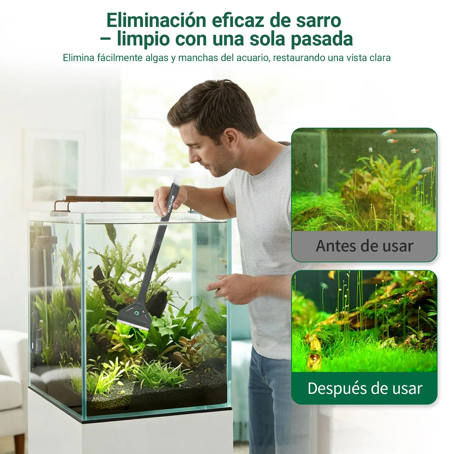 boxtech raschiatore alghe vetro 2 in 1 regolabile