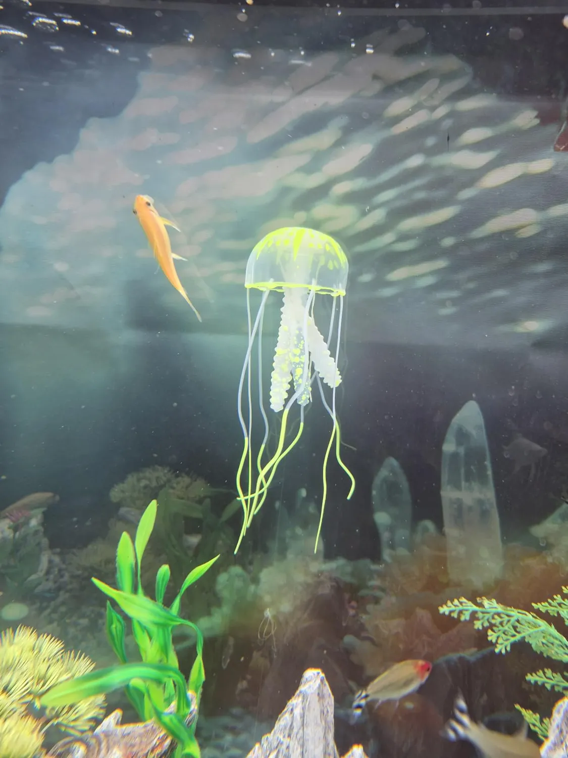 Pawfly meduse decorative acquario 6 pezzi silicone