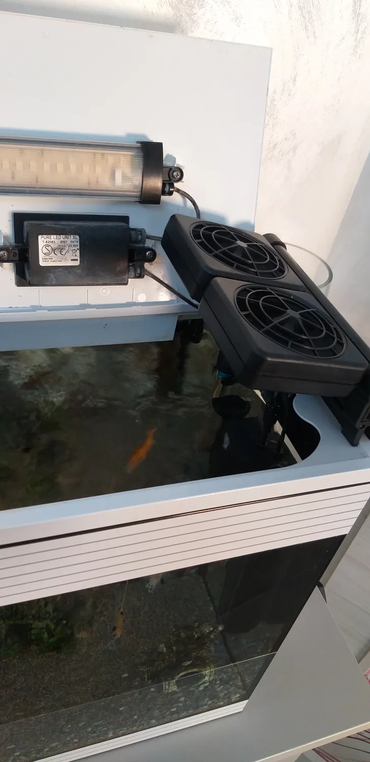 LONDAFISH ventola raffreddamento acquario 2 ventole 12V
