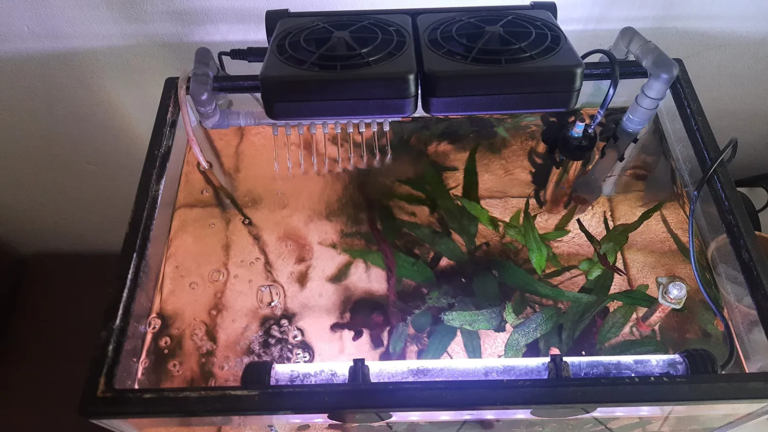 LONDAFISH ventola raffreddamento acquario 2 ventole 12V
