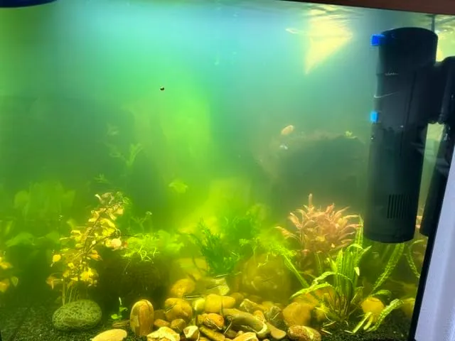SunSun CUP-809 pompa acquario 4in1 700 l/h UVC 9W