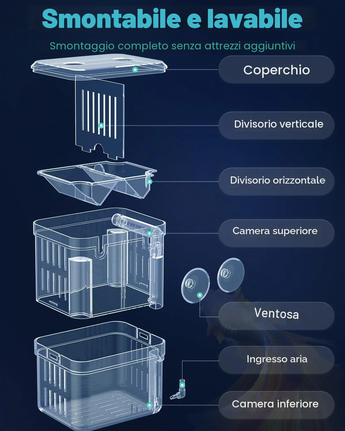 Pawfly Box Allevamento Acquario S 10x8x13 cm Trasparente