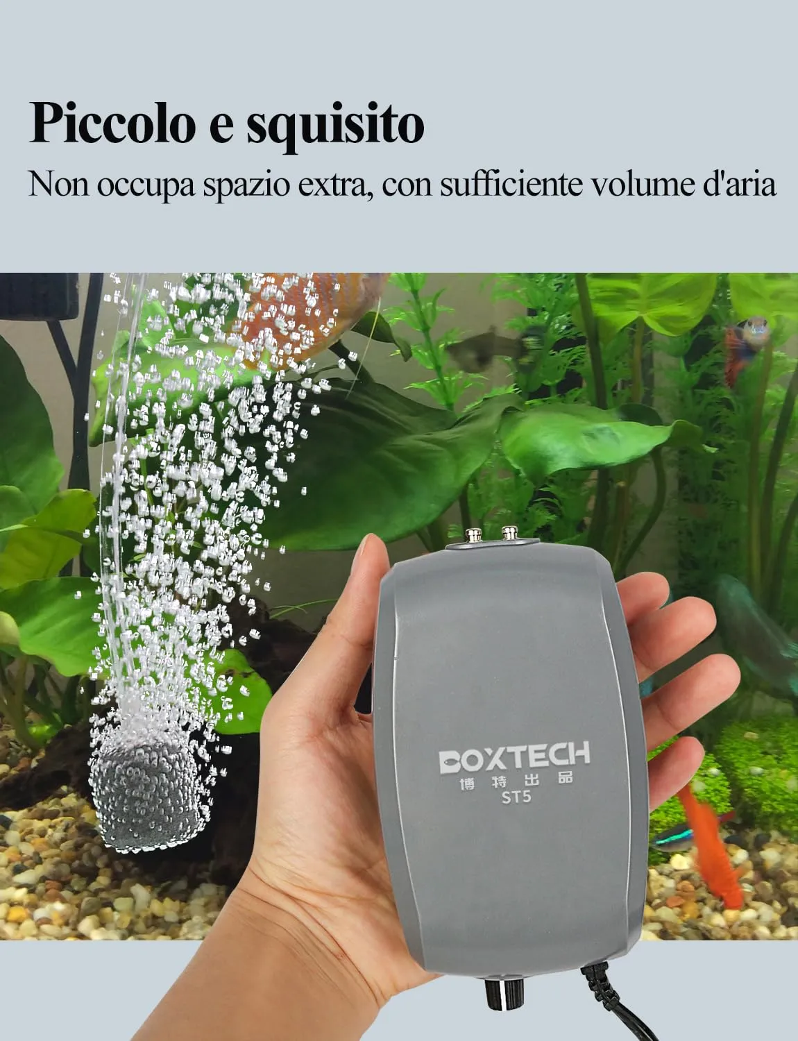 Boxtech Aeratore Acquario 3,5W Doppia Uscita con Accessori