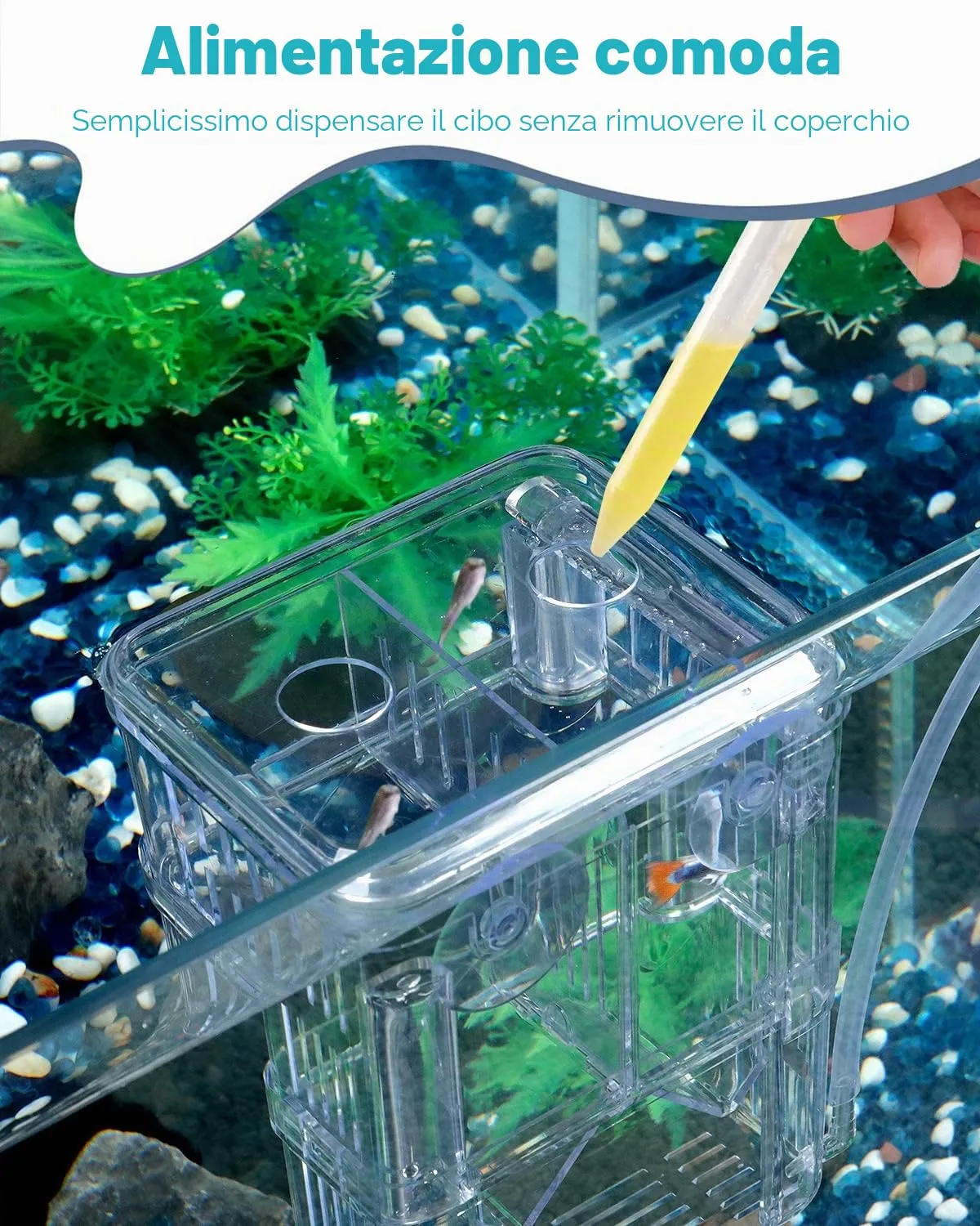 Pawfly Box Allevamento Acquario S 10x8x13 cm Trasparente