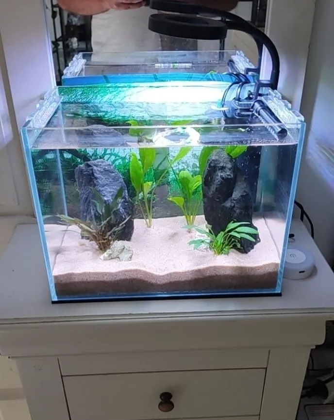 Pawfly Lampada LED Acquario Clip USB 4,5W Spettro Completo