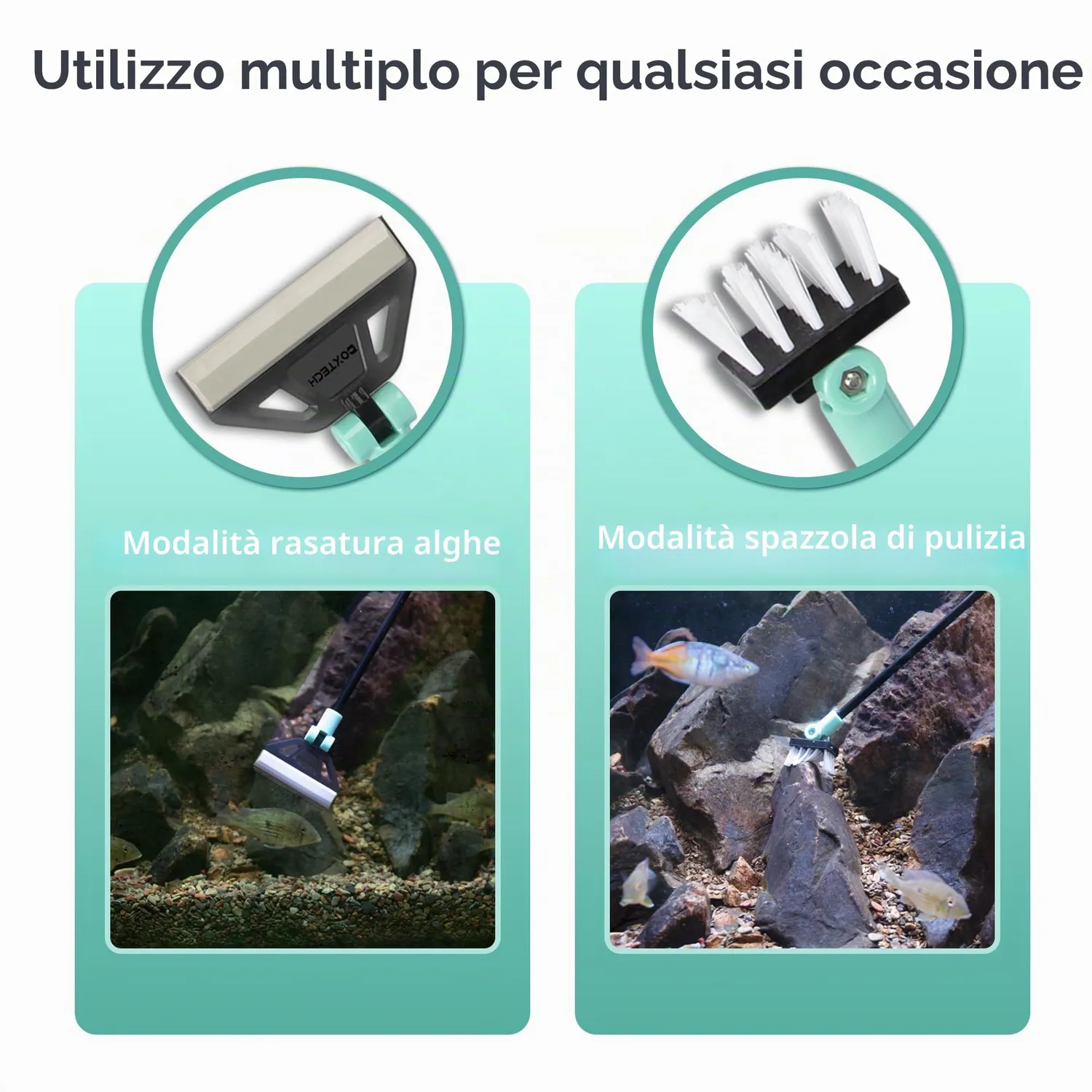 boxtech Raschietto Alghe 50 cm con 5 Lame Acciaio