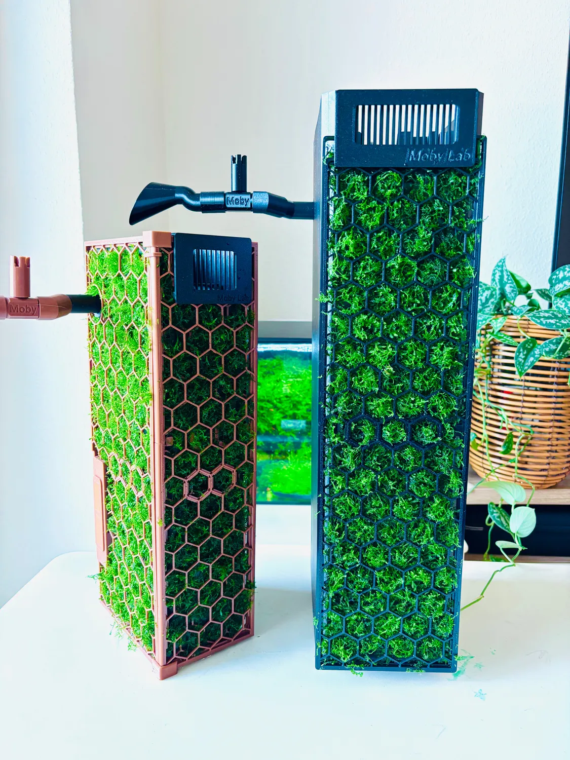 Moby Lab Bioflow M pannello muschio filtro anteriore