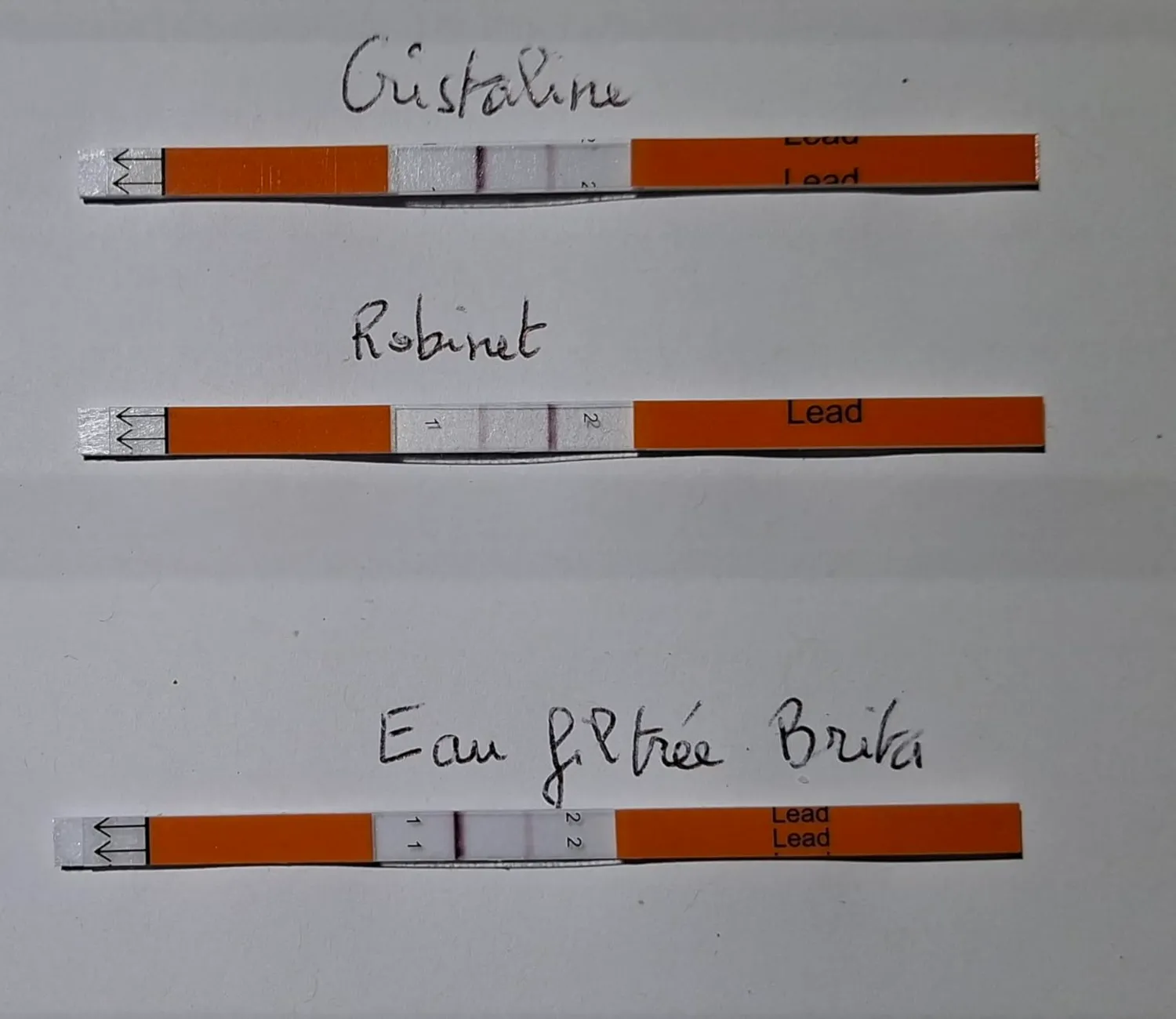 Pawfly kit test piombo acqua potabile 4 pz fino a 5 ppb