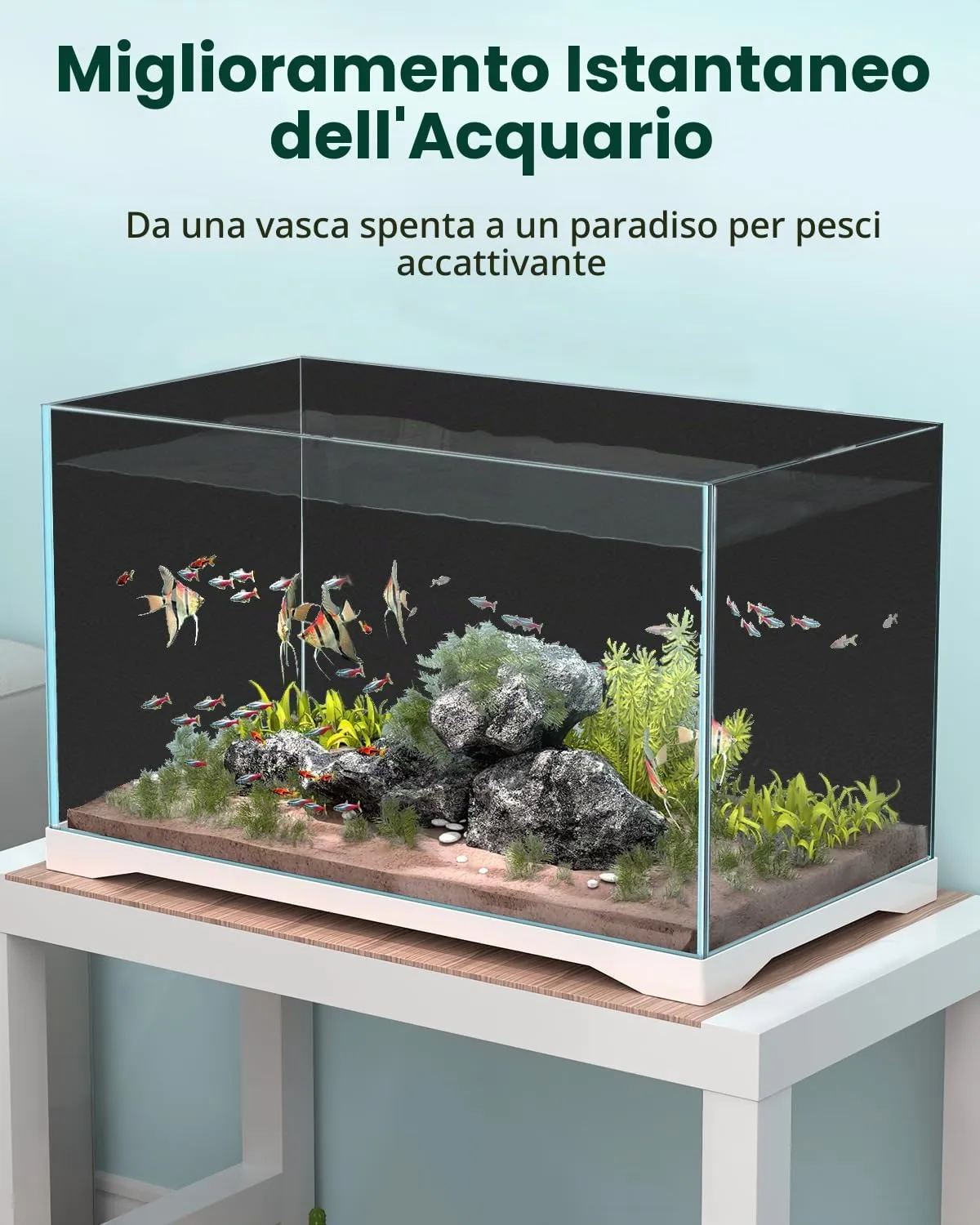 Pawfly sfondo nero acquario 80x40 cm adesione statica
