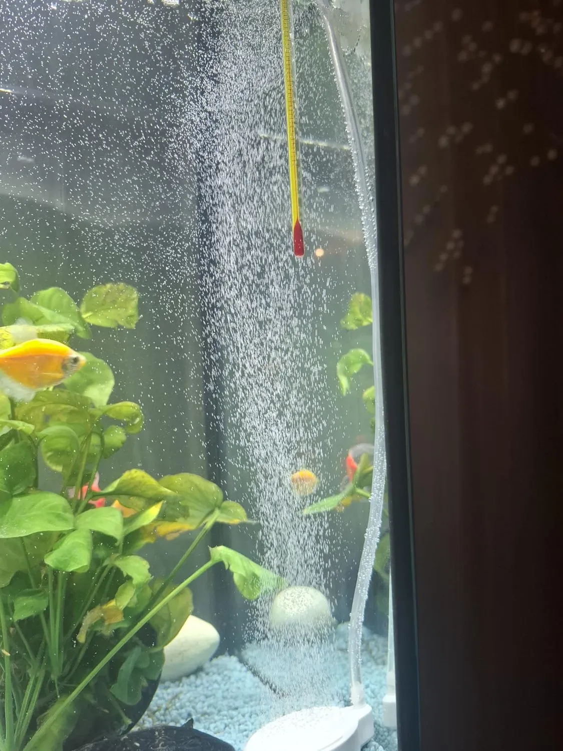 Boxtech Diffusore Nano Aria Acquario 50 mm Ceramica