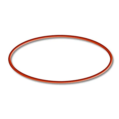 SunSun CBF-200T 200U o-ring 3 guarnizione ricambio