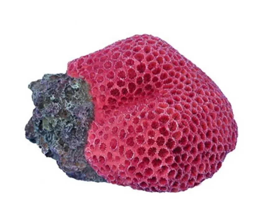 Aquariatech Corallo Goniopora Purple resina 20x15x11h decorazione