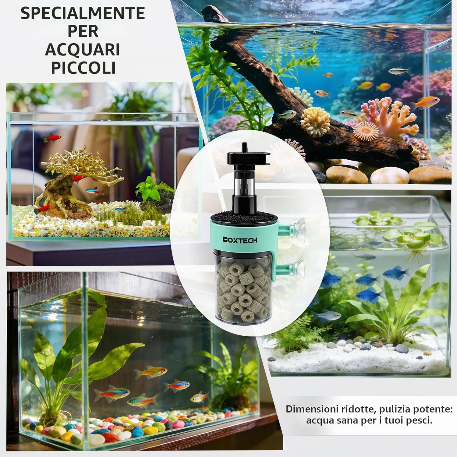 Boxtech 901 902 filtro interno nano S spugna