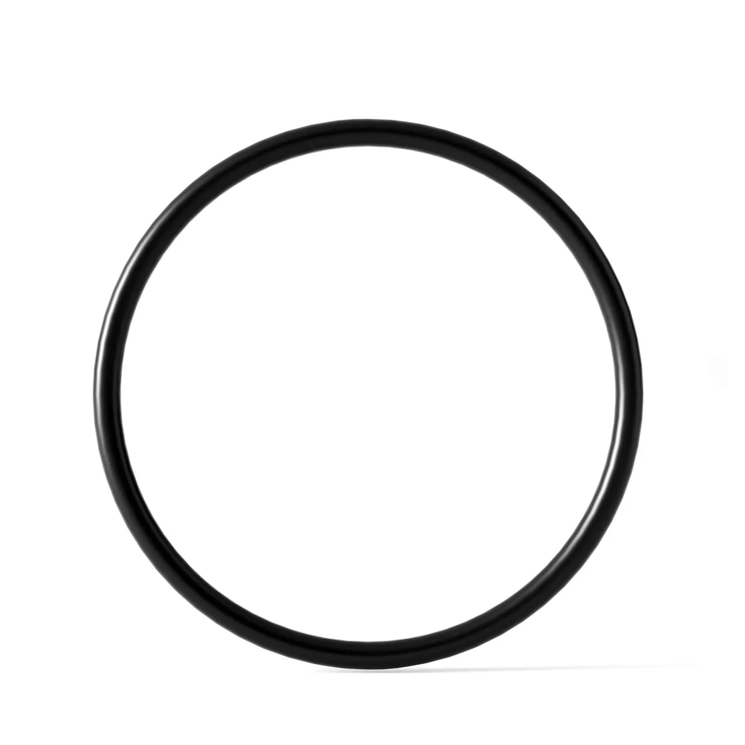 SunSun CBF-350B O-ring scarico filtro laghetto ricambio
