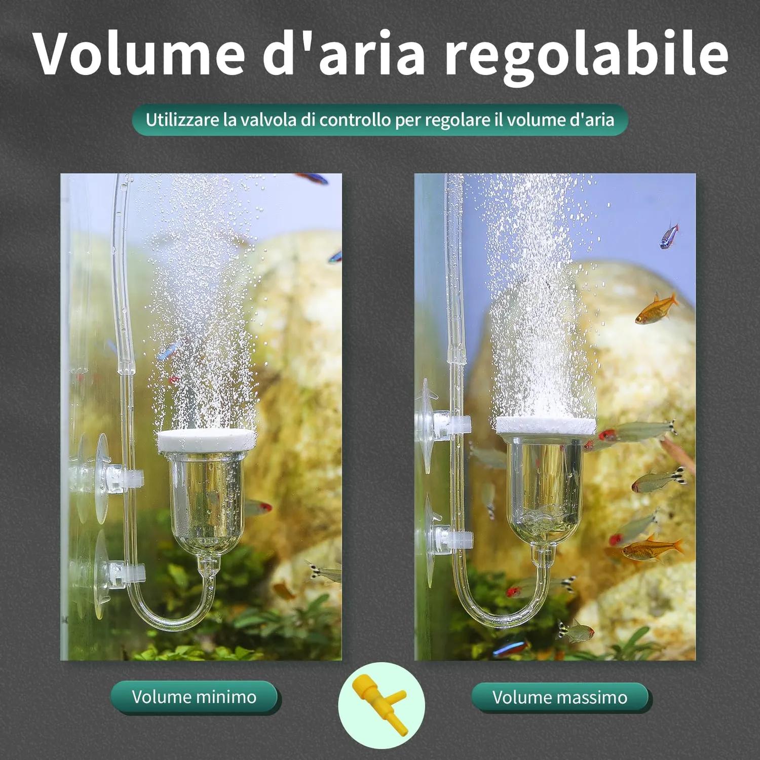 boxtech Pietra Aria Acquario Diffusore Nano 25 mm con Valvola
