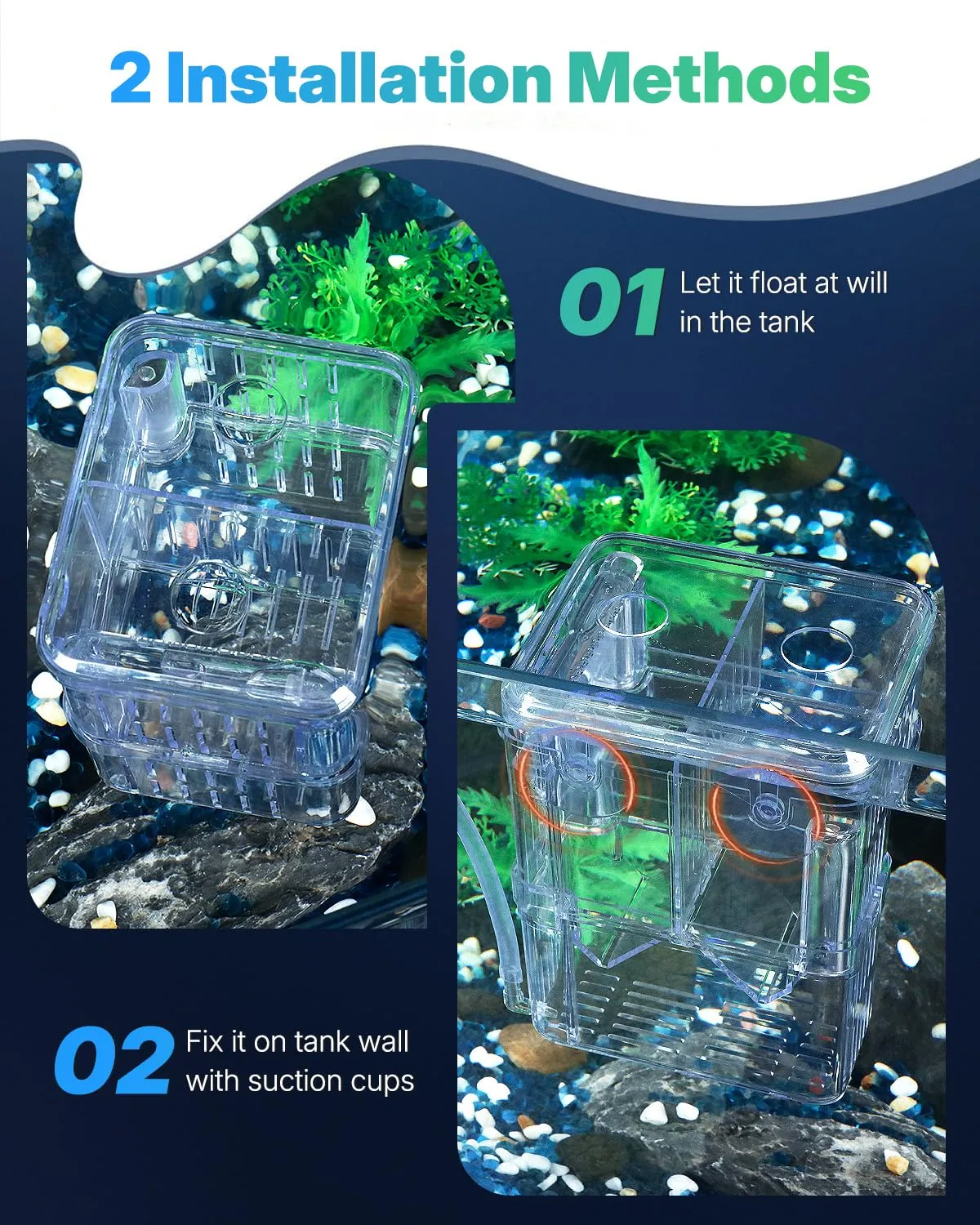 Pawfly Box Allevamento Acquario S 10x8x13 cm Trasparente
