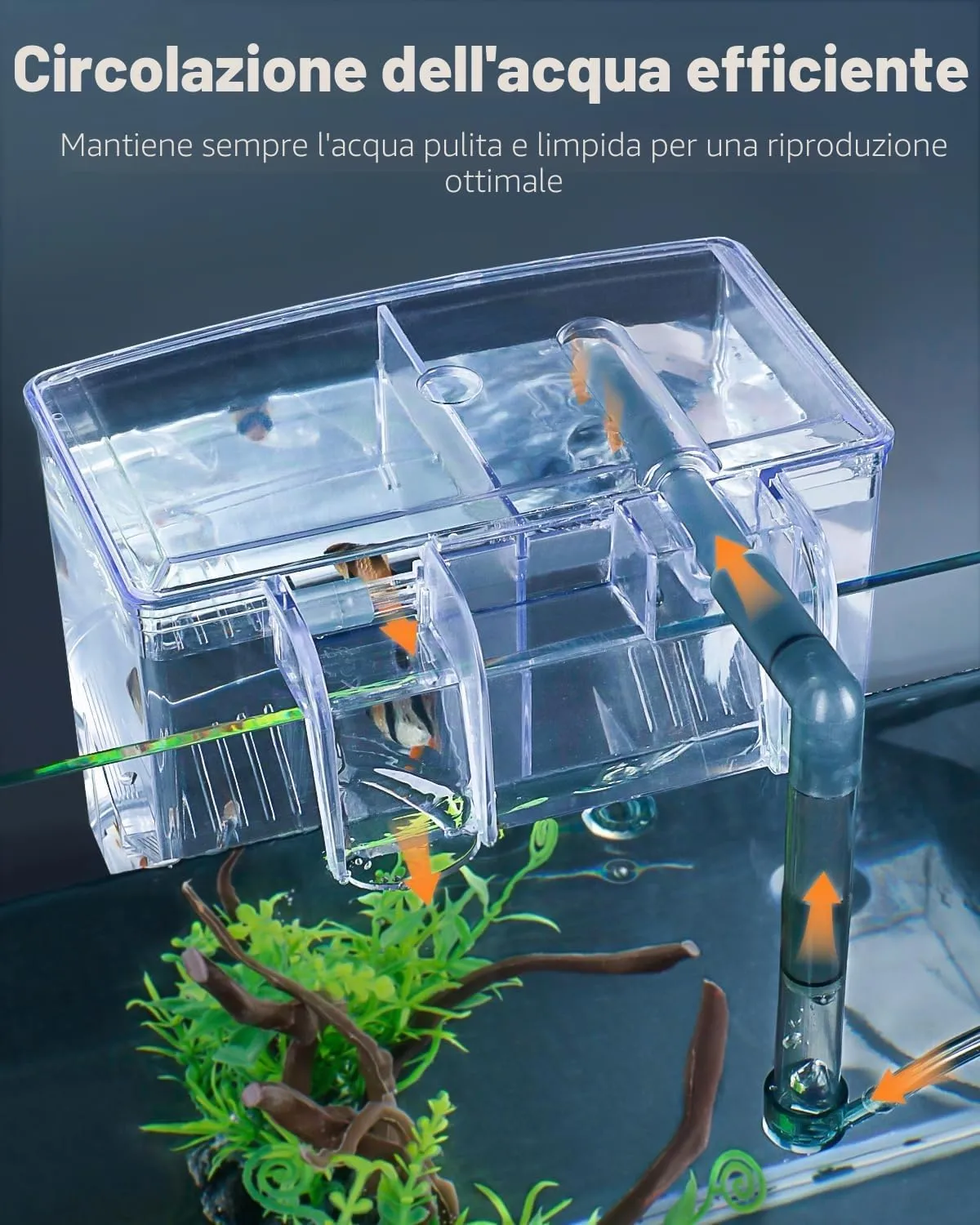 Pawfly incubatrice pesci acrilico 16 cm 3 scomparti