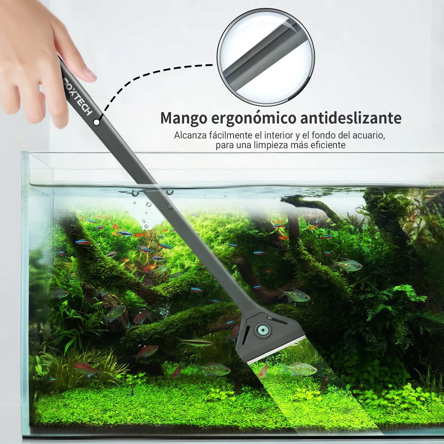 boxtech raschiatore alghe vetro 2 in 1 regolabile