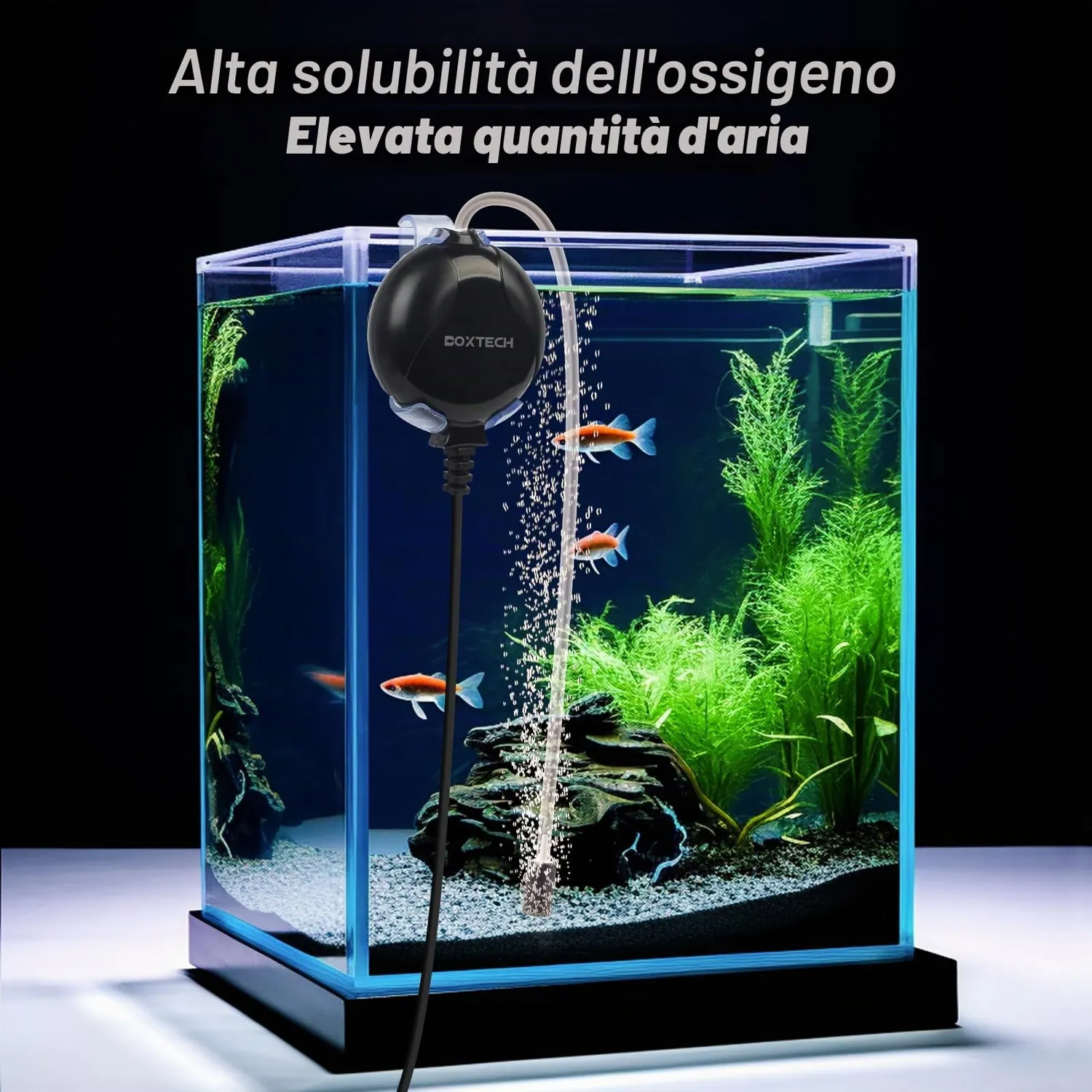 Boxtech Mini aeratore acquario 1W nero 50L