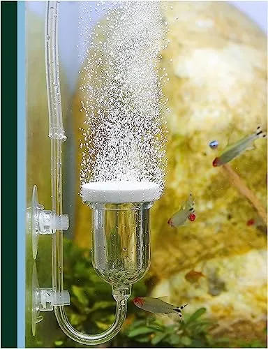 boxtech Pietra Aria Acquario Diffusore Nano 35 mm con Valvola