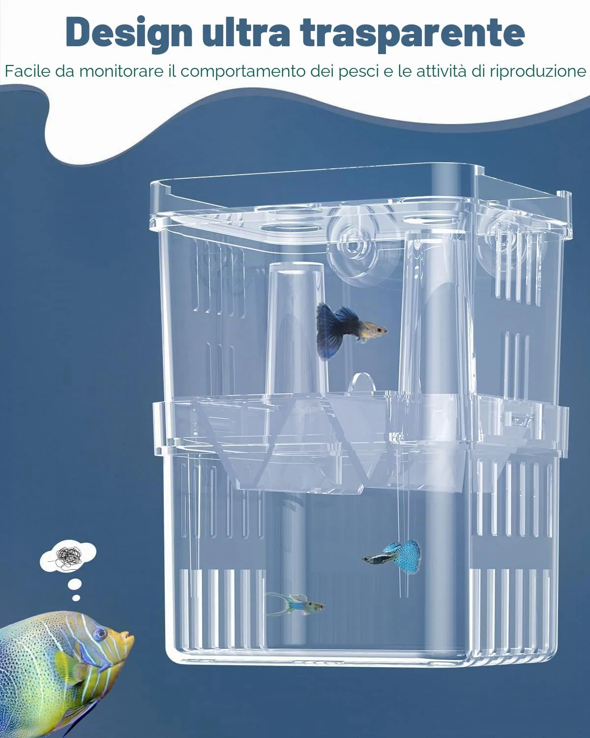 Pawfly Box Allevamento 10x7x13 cm per Avannotti 2 Camere