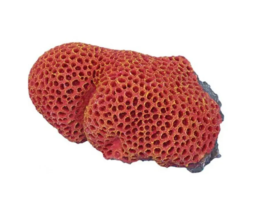Aquariatech Goniopora Orange corallo resina 17x12x9 atossico