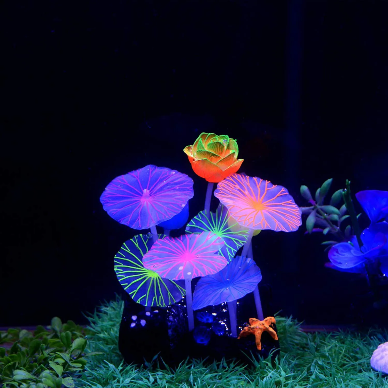 Pawfly loto decorazione acquario silicone 13,2 cm fluorescente