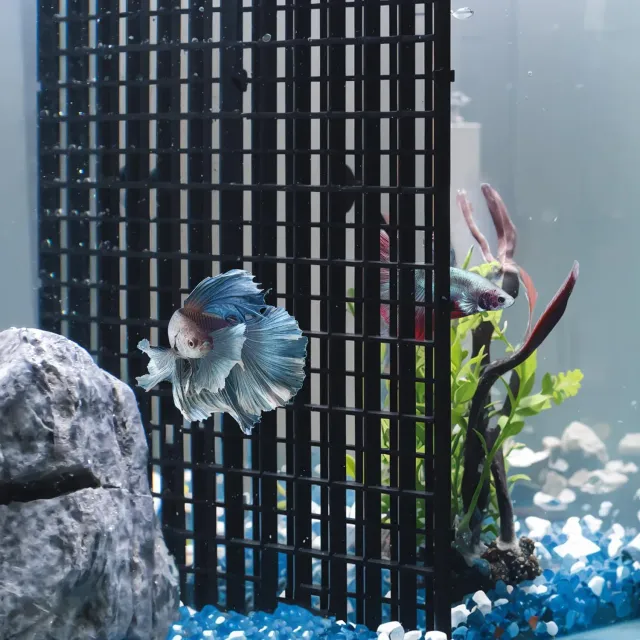 Pawfly Divisori Acquario Nero 4 Pezzi 29,2x14,7 cm Maglia 1 cm