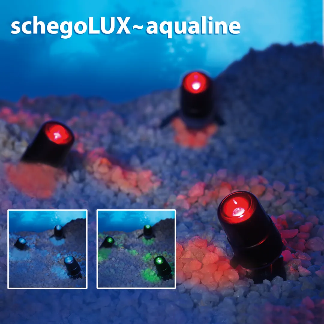 Schego schegoLUX-aqualine catena LED RGB 1,5W